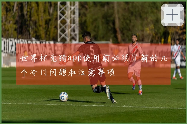 世界杯竞猜app使用前必须了解的几个冷门问题和注意事项