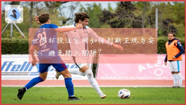 世界杯投注官网如何判断正规与安全，避免踏入陷阱？