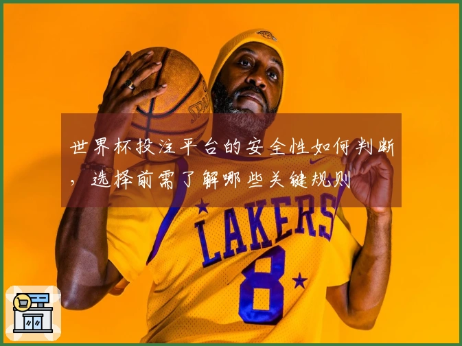 世界杯投注平台的安全性如何判断，选择前需了解哪些关键规则