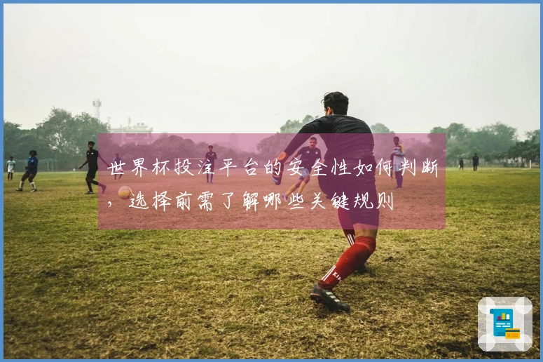 世界杯投注平台的安全性如何判断，选择前需了解哪些关键规则