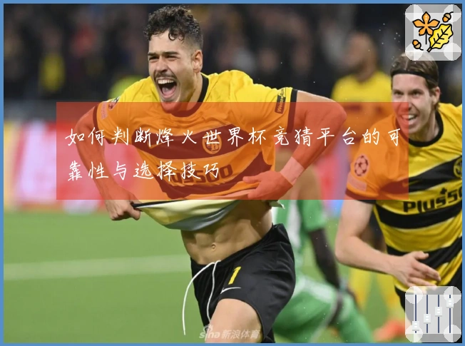 如何判断烽火世界杯竞猜平台的可靠性与选择技巧