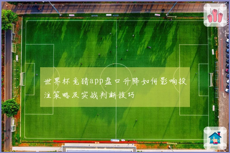 世界杯竞猜app盘口升降如何影响投注策略及实战判断技巧